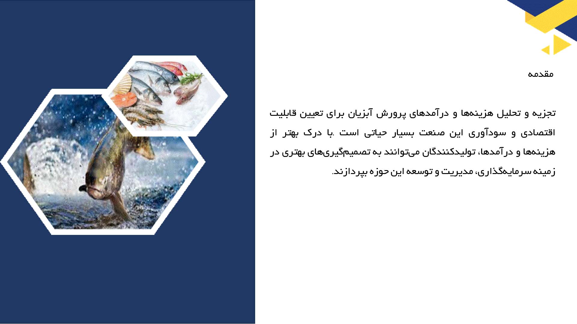 پاورپوینت در مورد تجزیه و تحلیل هزینه‌ها و درآمدهای پرورش آبزیان
